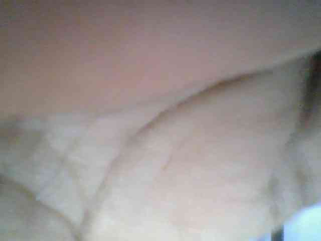 Sweetchely