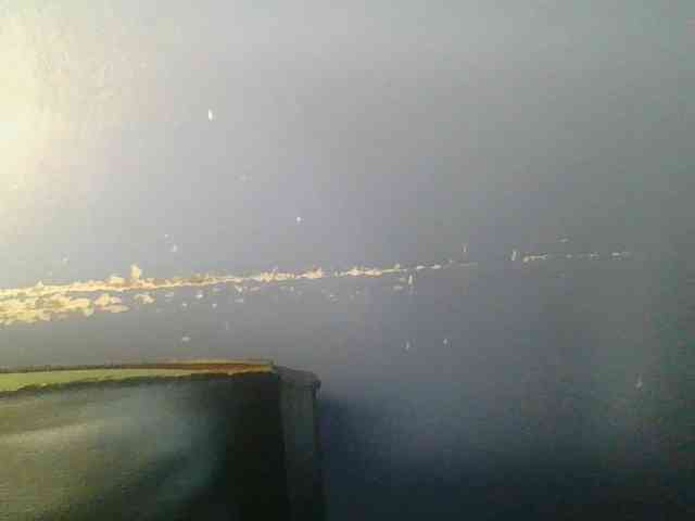 Sweetchely webcam
