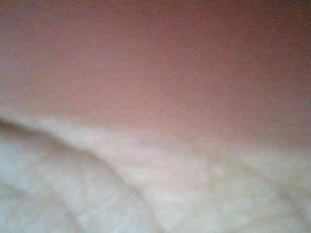 Sweetchely webcam