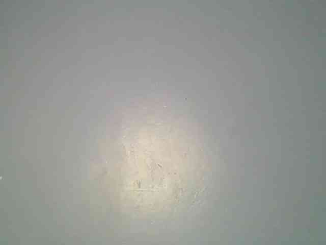 Sweetchely webcam