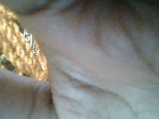 Sweetchely webcam