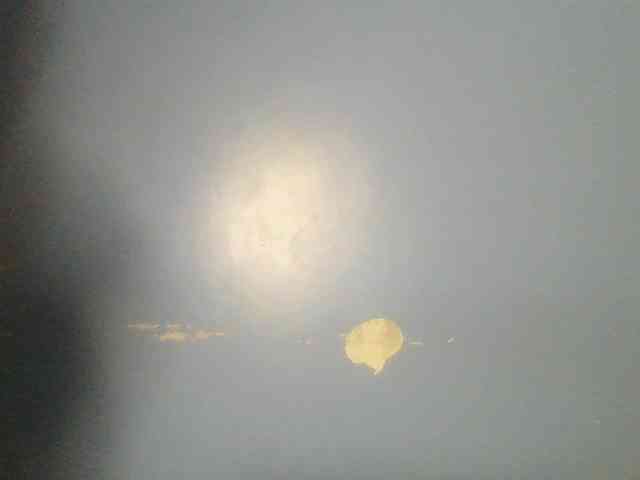 Sweetchely webcam