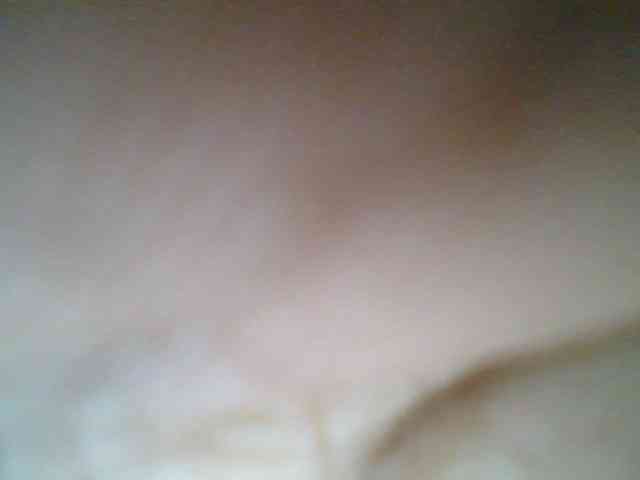 Sweetchely