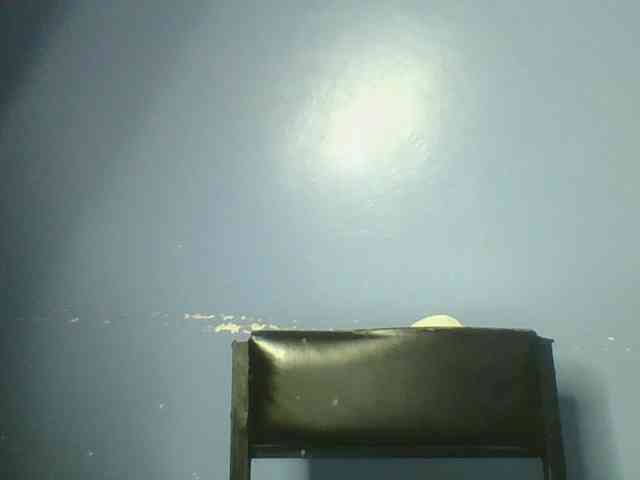 Sweetchely webcam