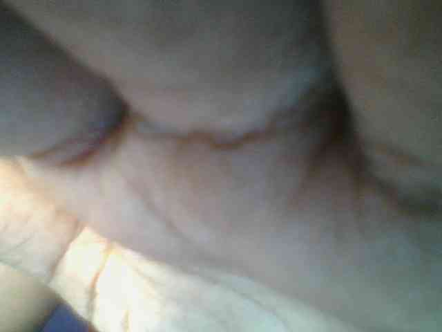 Sweetchely