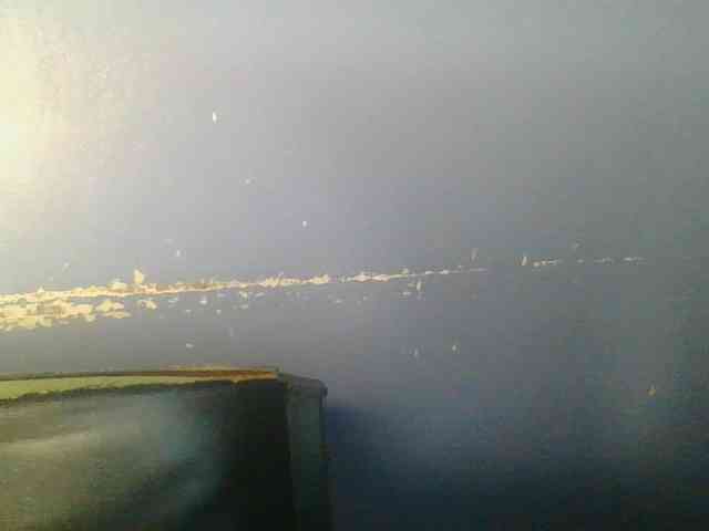 Sweetchely webcam