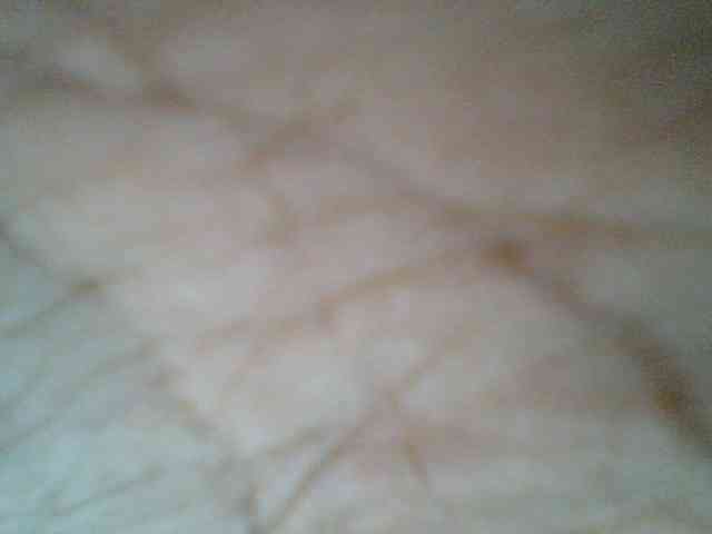 Sweetchely
