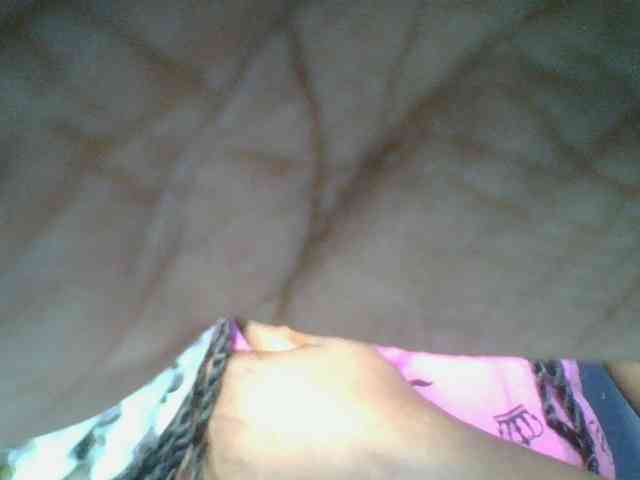 Sweetchely webcam