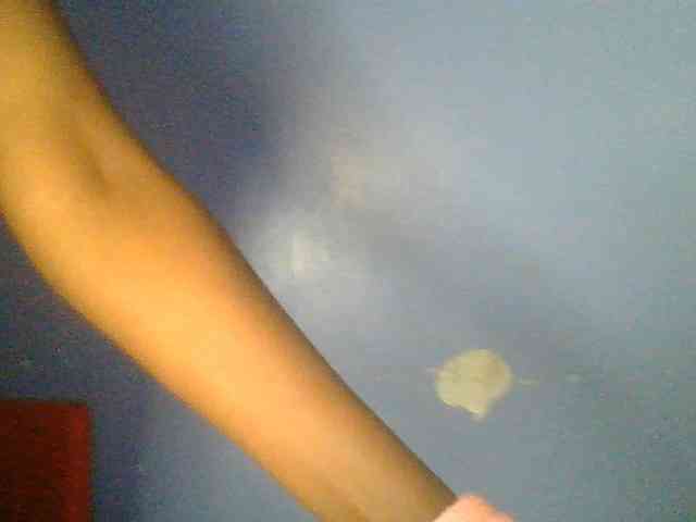 Sweetchely webcam