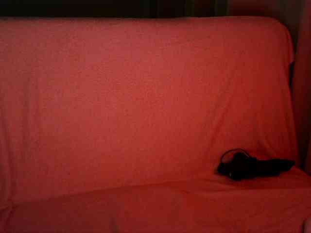 HoneyMoans webcam