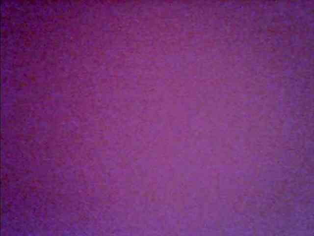 Alizon-09