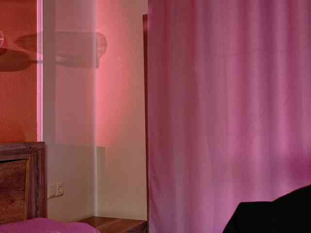 bloomsakura webcam