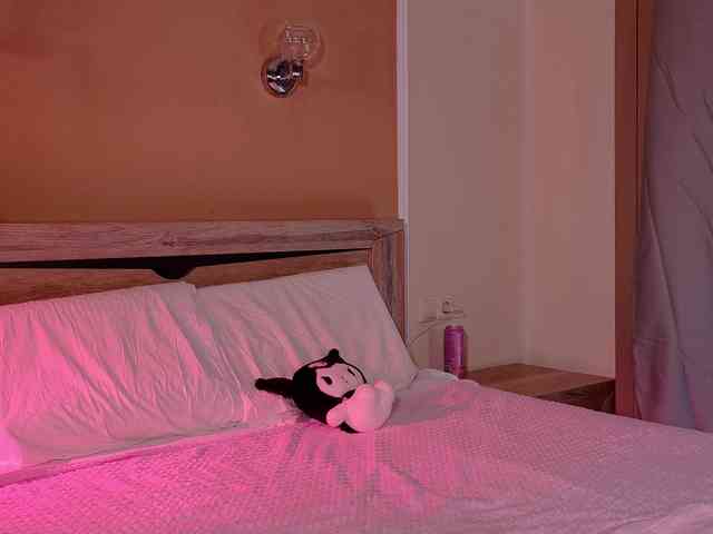 bloomsakura webcam