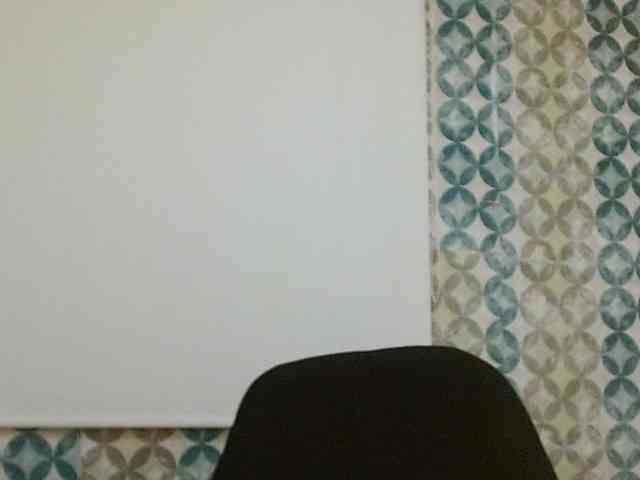 isabellacarson webcam