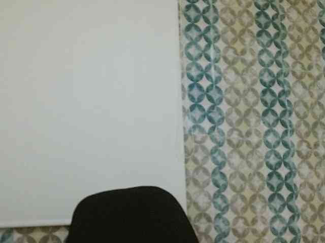 isabellacarson webcam