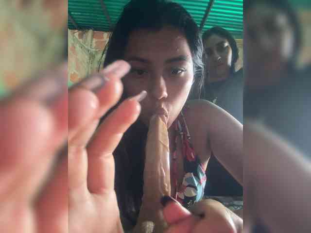 Aleja21 webcam