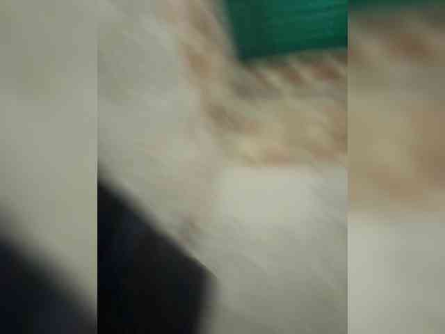Aleja21 webcam