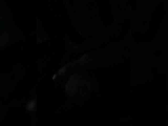 Adamieva1 webcam