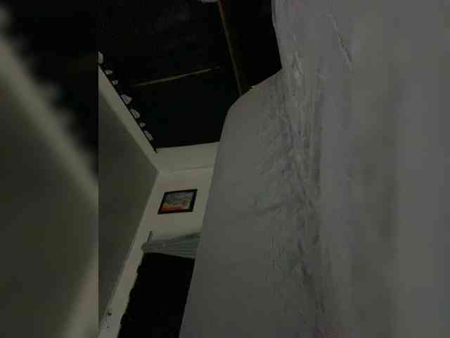 Allie-Rosse webcam