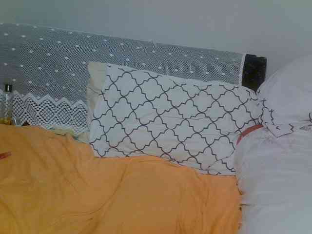 Rish-petite webcam