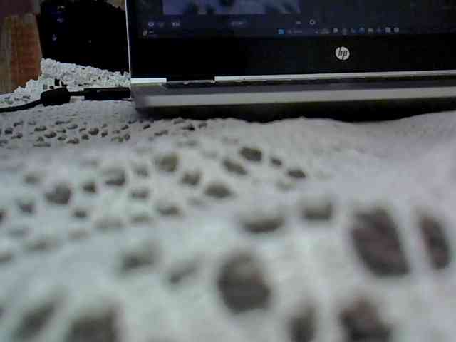 Rish-petite webcam