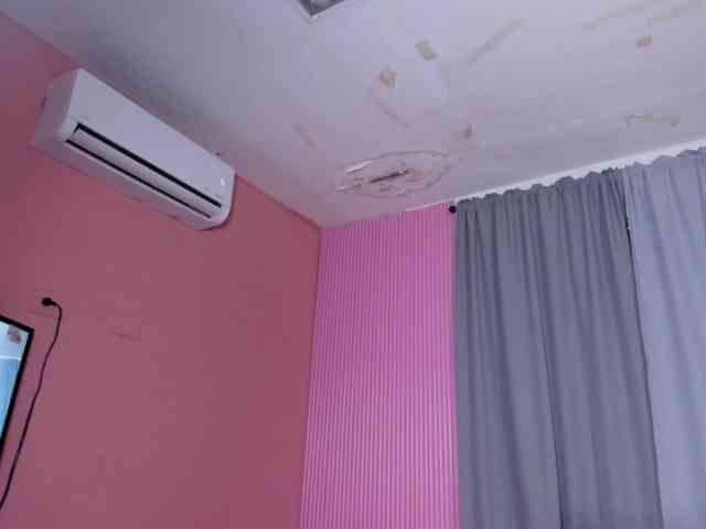 Alpha-Queen webcam
