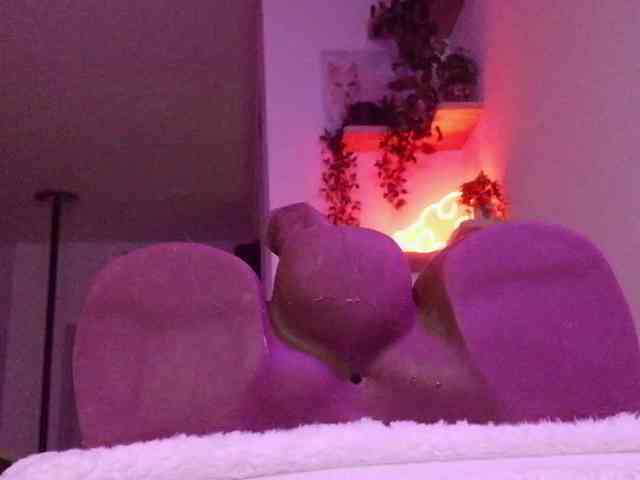 StonyPony webcam