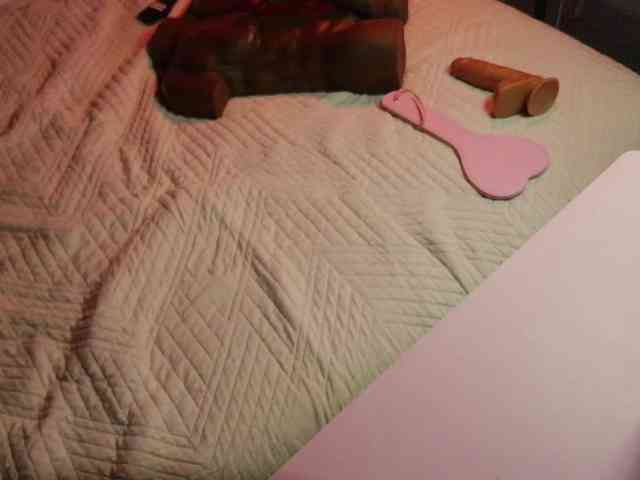 StonyPony webcam