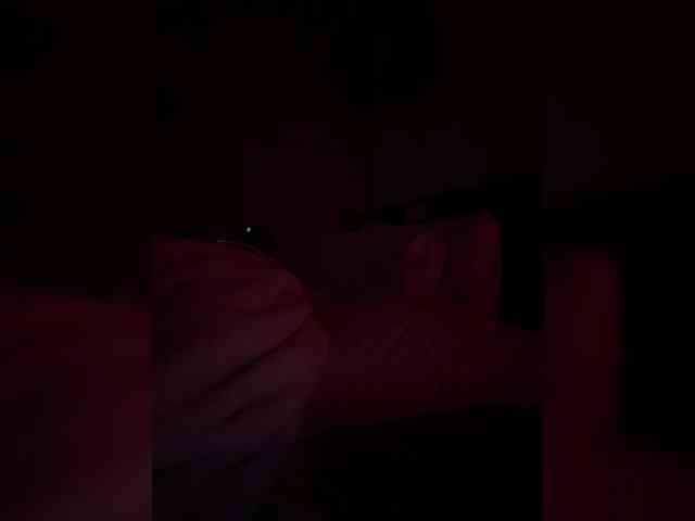 StonyPony webcam