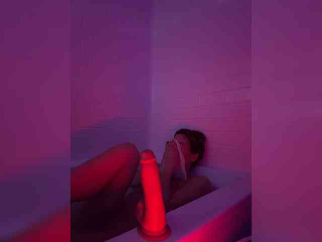StonyPony webcam