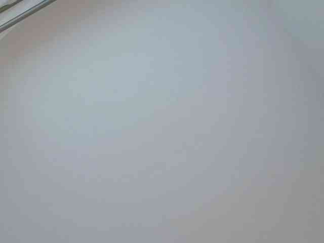 StonyPony webcam