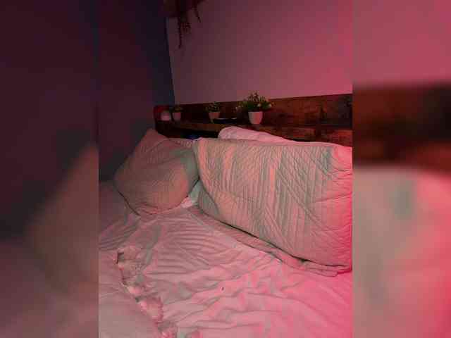 StonyPony webcam