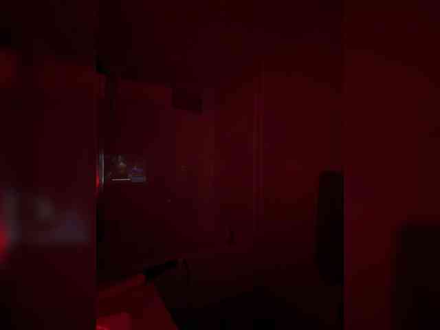 StonyPony webcam