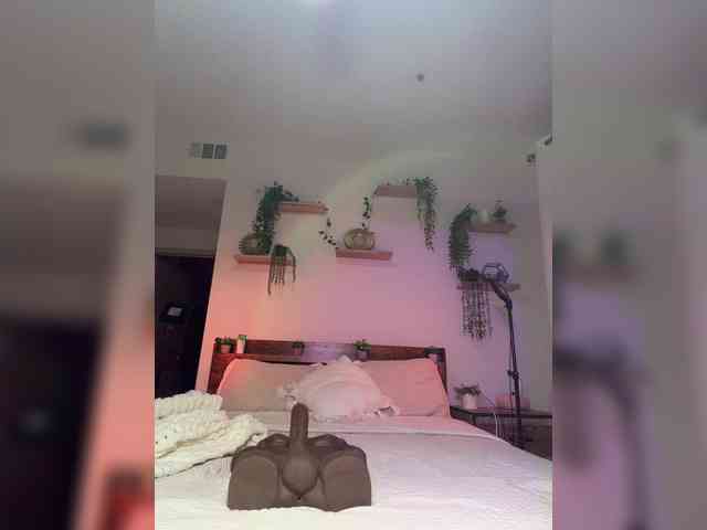 StonyPony webcam