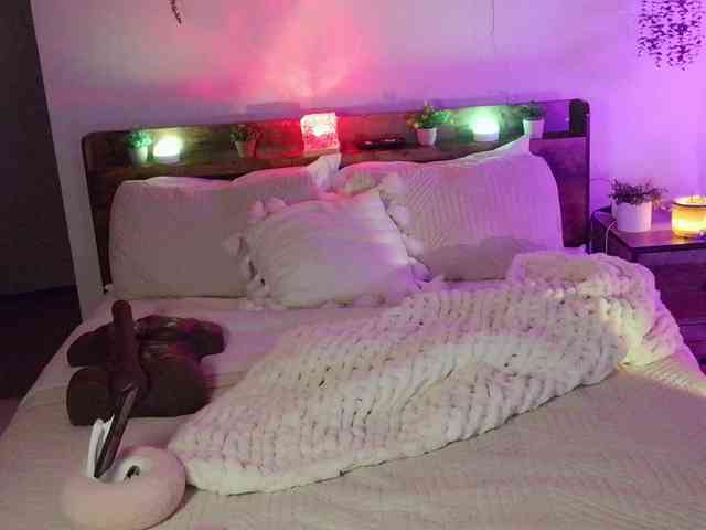 StonyPony webcam