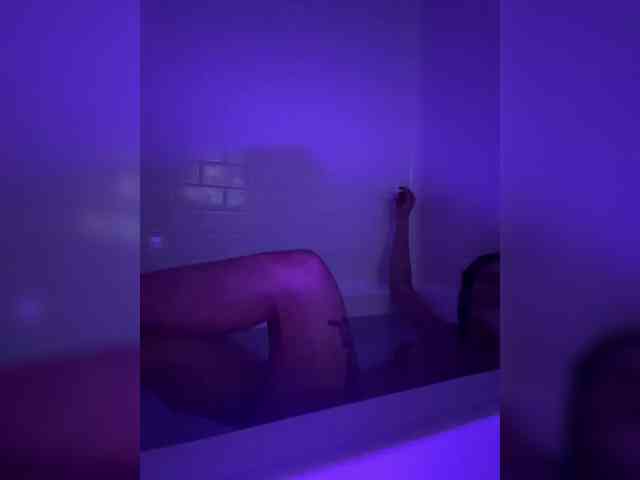 StonyPony webcam