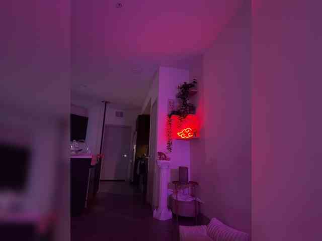 StonyPony webcam