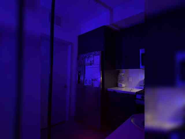 StonyPony webcam