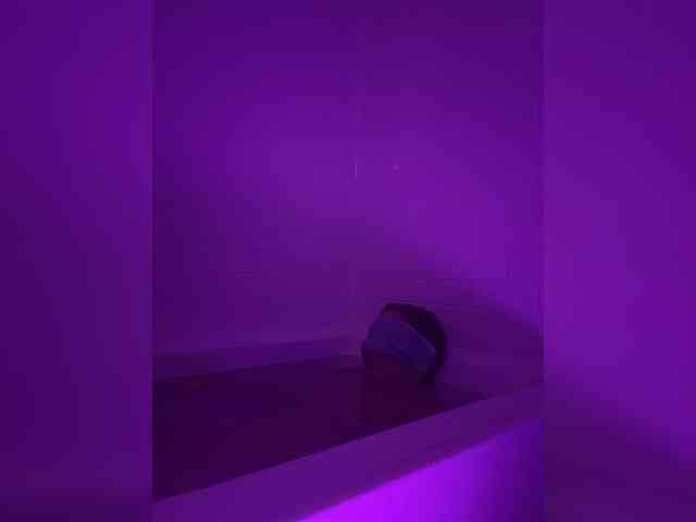 StonyPony webcam