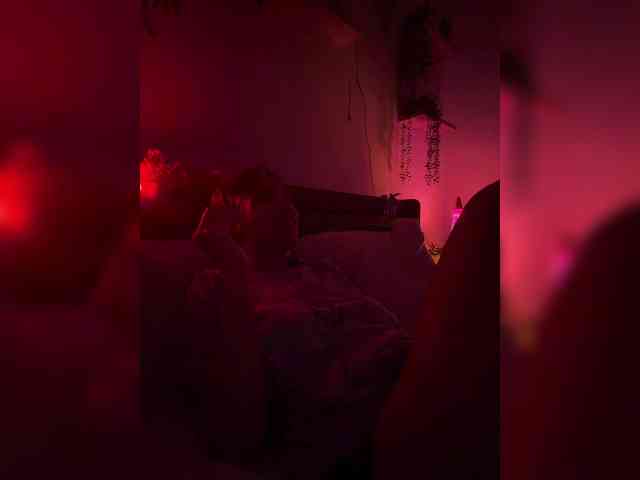 StonyPony webcam