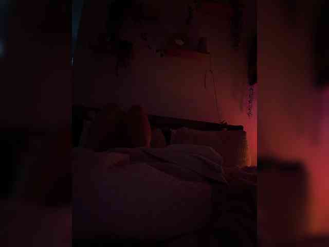 StonyPony webcam