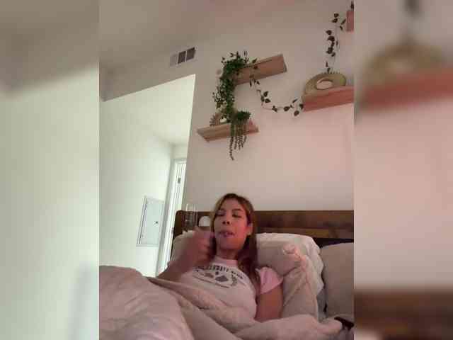 StonyPony webcam