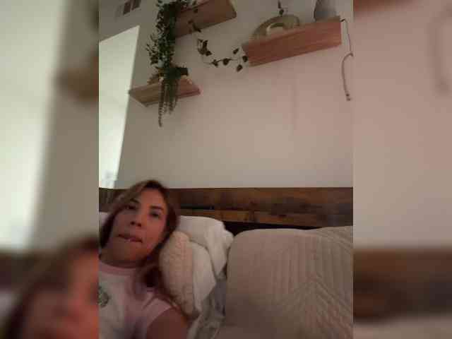 StonyPony webcam