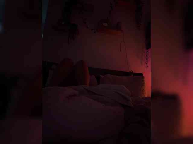 StonyPony webcam