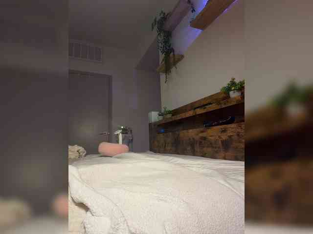 StonyPony webcam