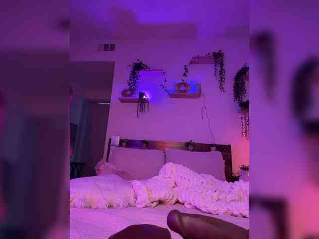 StonyPony webcam