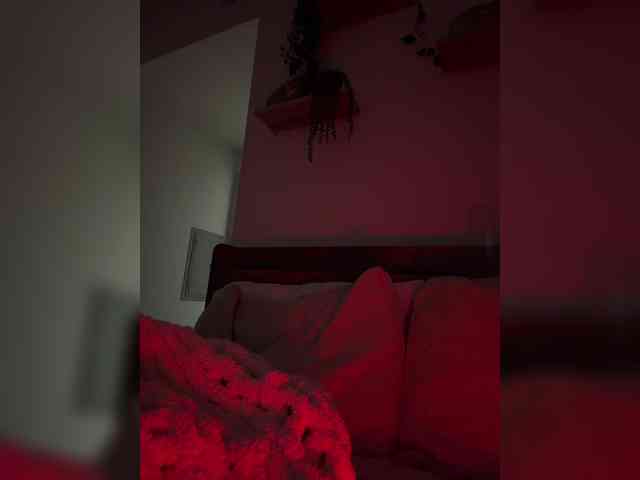StonyPony webcam