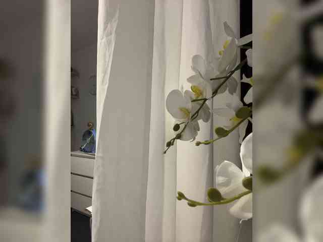 Lysybig69 Sex Cam Show