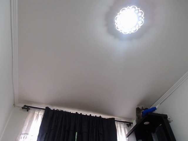 prince1 live cam on BongaCams