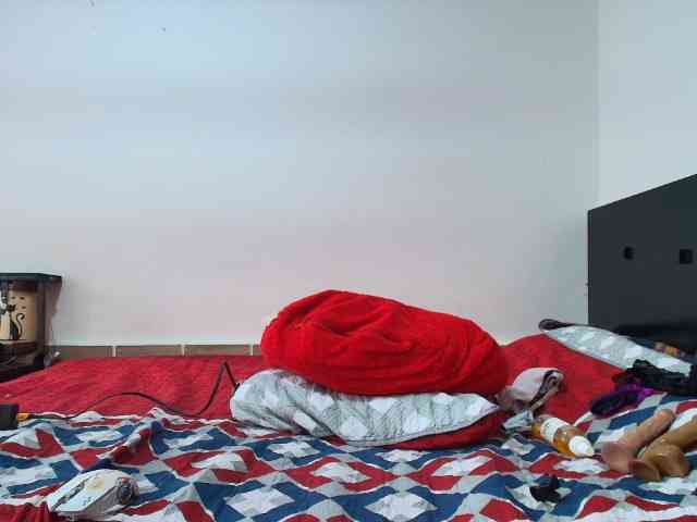 prince1 webcam